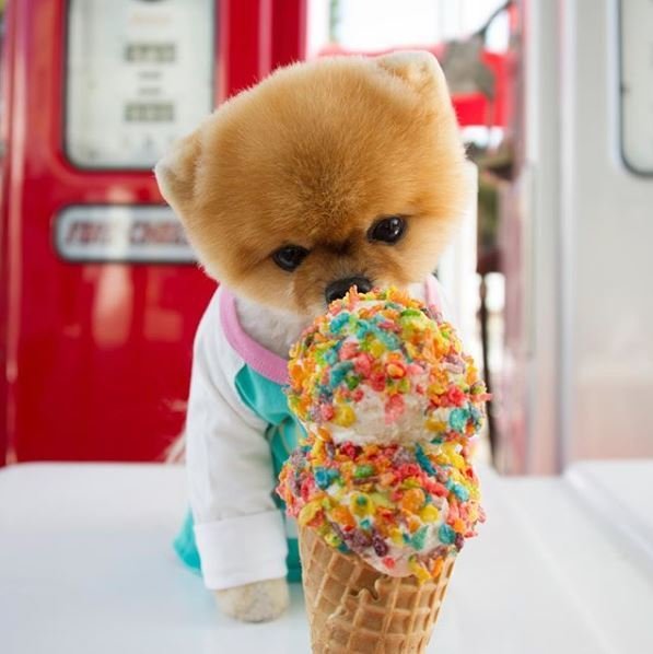 JiffPom