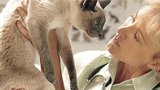 První pomoc pro vaše mazlíčky: Co dělat, když se zraní kočka