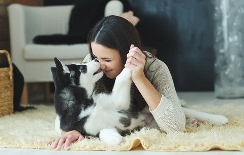 Psi a kočky zlepšují zdraví svých majitelů. A uklidní vás lépe než partner!