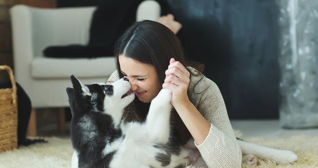 Psi a kočky zlepšují zdraví svých majitelů. A uklidní vás lépe než partner!