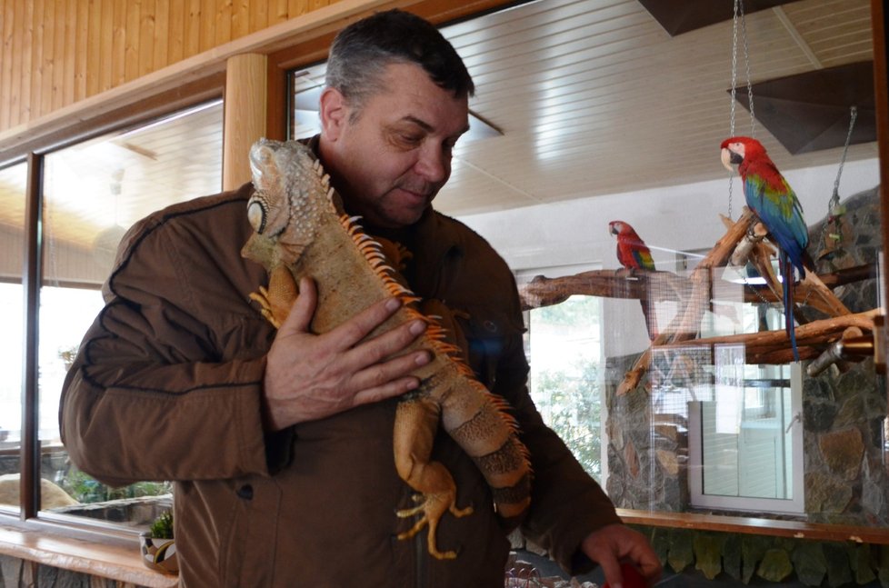 Americké pumy, klokany, leguány i opice mají ve faunaparku v Lipové-Lázni.