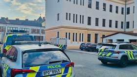 V Domažicích zaútočila na dva spolužáky, dva pobodala nožem