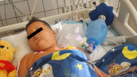 S nádorem bojoval více než rok.