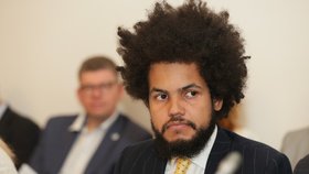Exposlanec Dominik Feri