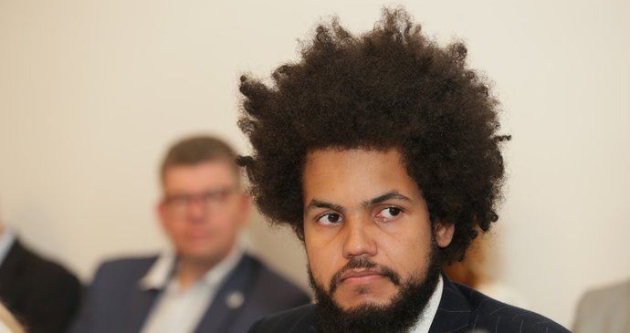 Exposlanec Dominik Feri