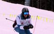 Závod ve slalomu na lyžích zkusili Dominik Hašek…