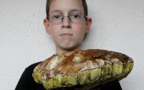 Dominik našel obra! Gigantický hřib smrkový našel Dominik (12) v Novém Městě pod Smrkem. Obr váží kilo a půl, výška je 35 cm a klobouk má obvod úctyhodných 95 cm!