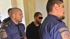 Muž ze Slovenska, v jehož pražském bytě policie objevila chemikálie k výrobě výbušniny a návodná videa, čelí obžalobě z přípravy teroristického útoku a z propagace hnutí směřujícího k potlačení práv a svobod člověka, uvedl dozorující státní zástupce Martin Bílý.