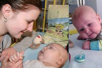 Nejstatečnější miminko v Česku, půlroční Dominik: Připravuje se na transplantaci!