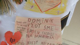 Na Dominika kamarádi nikdy nezapomenou