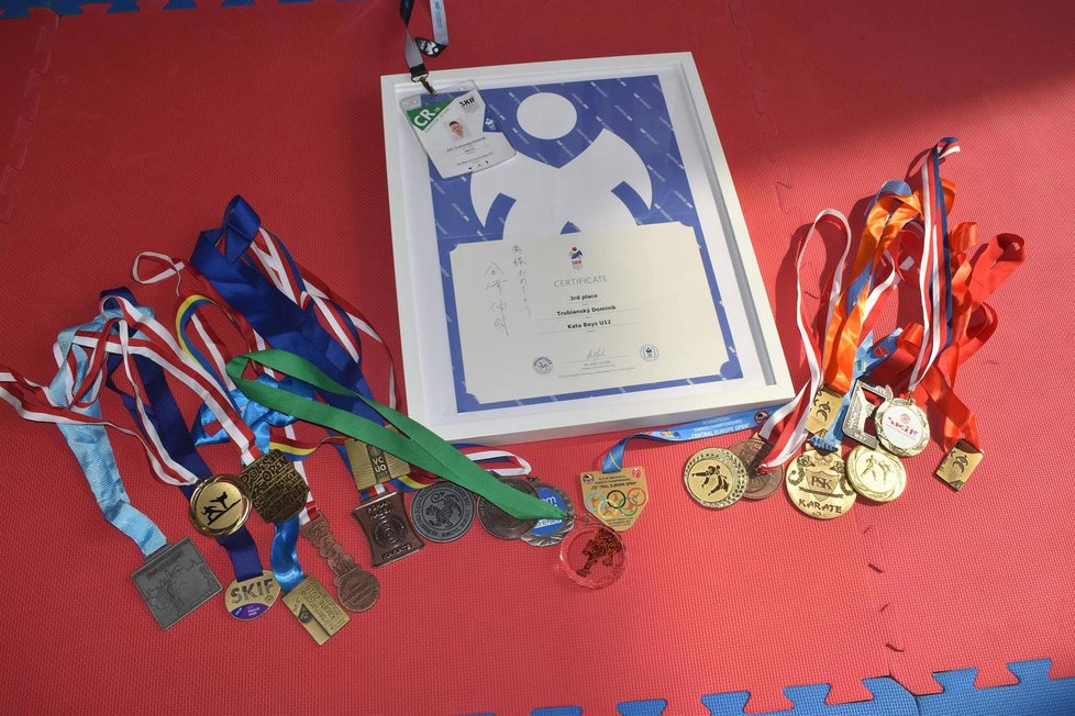 Tuhle sbírku medailí Dominik nastřádal během necelého roku!