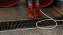 V roce 2016 založila společně s ortodontistou Ivem Markem Vinařství Plenér. V roce 2016 založila společně s ortodontistou Ivem Markem Vinařství Plenér.