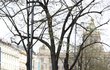 Dominika Gottová se držela za ruku s Gabrielem Dominika Gottová se držela za ruku s Gabrielem
