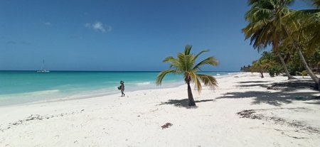 Pláž na ostrově Saona v Dominikánské republice.
