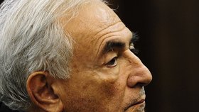 Strauss-Kahn má asi po kariéře