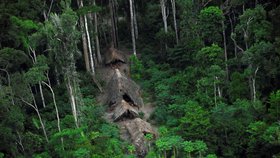 Amazonské pralesy jsou nebezpečným místem - jsou plné nebezpečné a jedovaté zvěře, nemocí, jako je malárie, a samozřejmě i nebezpečných domorodců