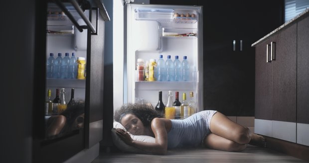 Už nikdy nechcete trávit horké noci ve své lednici jako letos