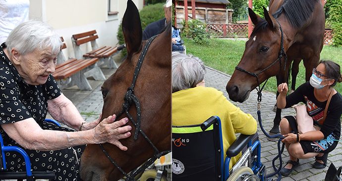 Klienty Domova Sue Ryder přišel navštívit terapeutický kůň.