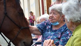 Klienty Domova Sue Ryder přišel navštívit terapeutický kůň.