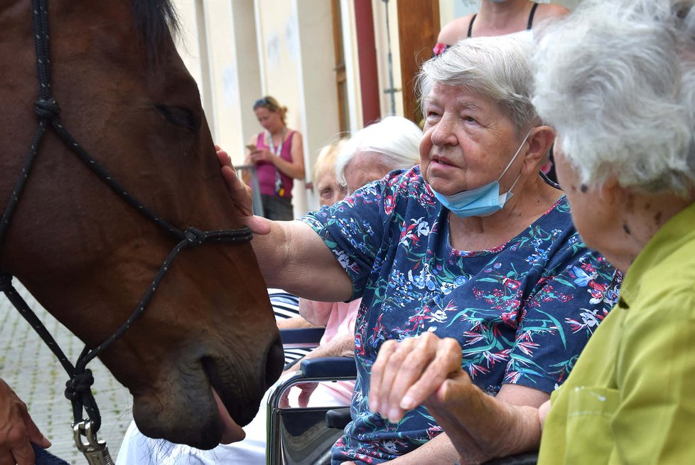 Klienty Domova Sue Ryder přišel navštívit terapeutický kůň.