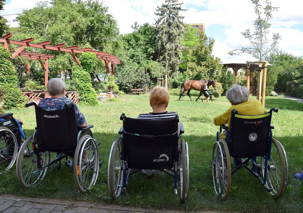 Klienty Domova Sue Ryder přišel navštívit terapeutický kůň.