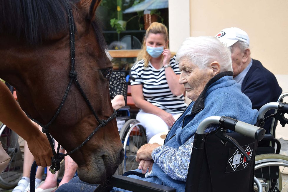 Klienty Domova Sue Ryder přišel navštívit terapeutický kůň.