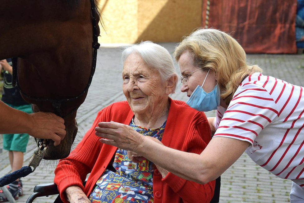 Klienty Domova Sue Ryder přišel navštívit terapeutický kůň.