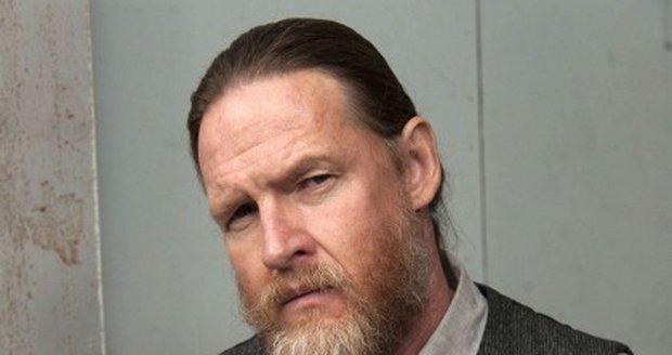 Donal Logue jako Lee Toric v seriálu Zákon gangu