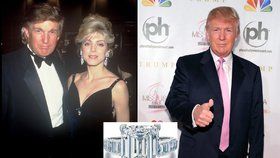 Trumpova bývalá manželka Marla se snubního prstenu po rozvodu ihned zbavila.