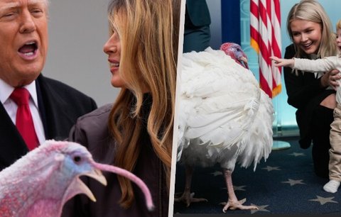Trump udělil milost dvěma krocanům. Diváky uchvátil roztomilý synek mluvčí Bílého domu