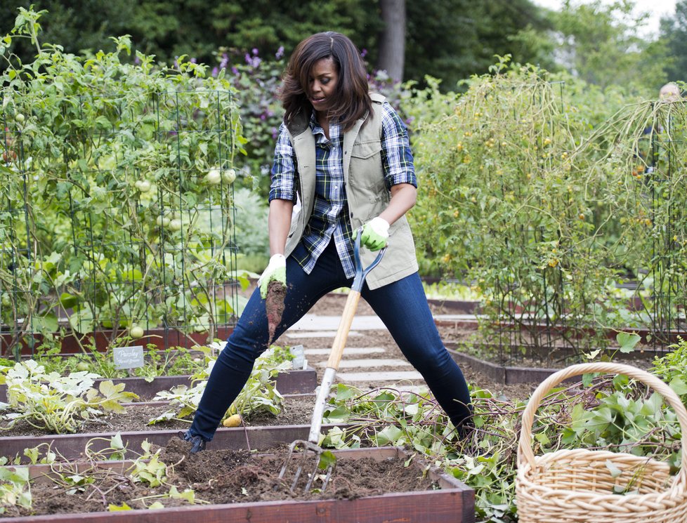 Michelle Obama je vášnivou zahradnicí.