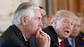 Šéf americké diplomacie Rex Tillerson a prezident USA Donald Trump