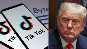 Americký prezident Doland Trump chce v USA zakázat aplikaci TikTok.