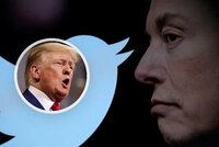 Trump se může vrátit na twitter! Musk mu obnovil účet, exprezident zareagoval nečekaně