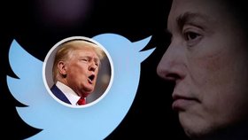 Americký exprezident Donald Trump se může vrátit na Twitter.