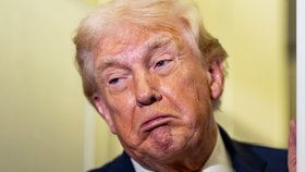 Prezident USA Donald Trump (leden 2026)