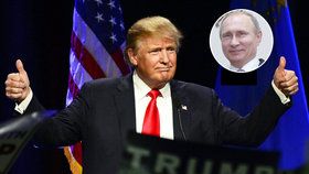 Putin pochválil Trumpa, ten zářil radostí.