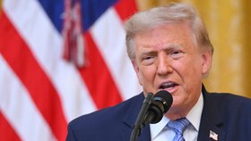 Americký prezident Donald Trump (17.7.2026)