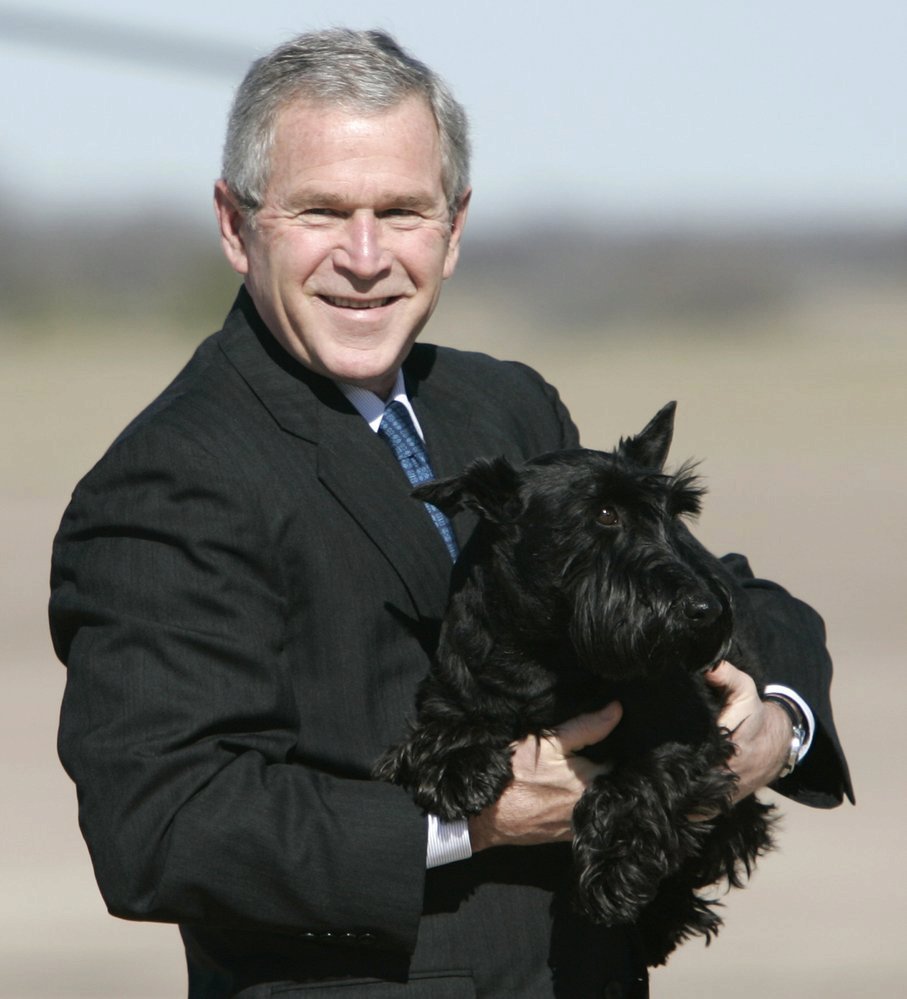 George Bush ml. (70). Barney, skotský teriér.