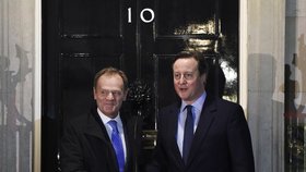 Tusk a Cameron během řešení plánů o odchodu Británie z EU