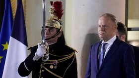 Polský premiér Donald Tusk
