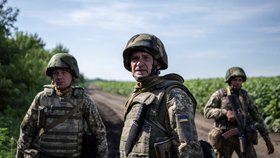 Cvičení ukrajinských vojáků v Doněcké oblasti