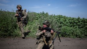 Cvičení ukrajinských vojáků v Doněcké oblasti