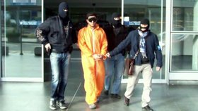 Čeští kriminalisté dopadli spolu s americkou FBI muže obviněného z únosu