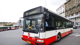 Žádný obecný plán na zastavení poklesu autobusové přepravy však zatím není. Hlavní zodpovědnost za stabilizaci autobusové dopravy by podle dopravců měli nést organizátoři dopravy a přizpůsobit ji hlavním skupinám cestujících.