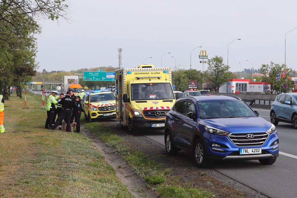 Na dálnici D1 u Prahy srazilo auto chodce, zřejmě mu utekl pes.