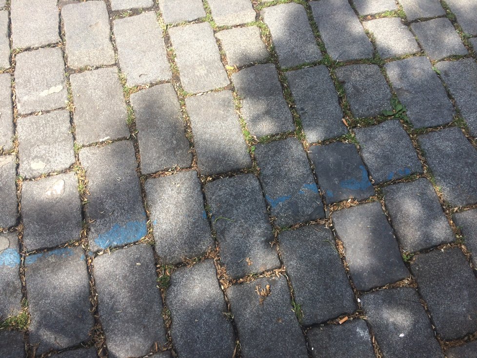 Vyznačení modrých zón na některých místech v Praze přestává být vidět.
