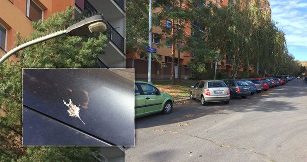Holubi na Ládví nadměrně kálí na auta: Před poškozením ochrání vozy speciální bodce proti ptactvu