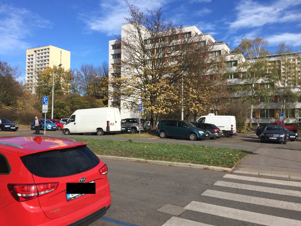 Na Ládví se umísťují bodce proti ptactvu. Na sloupech mají zabránit tomu, aby holubi káleli na auta.