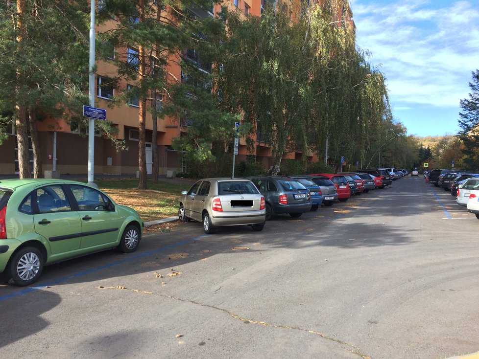 Na Ládví se umísťují bodce proti ptactvu. Na sloupech mají zabránit tomu, aby holubi káleli na auta.